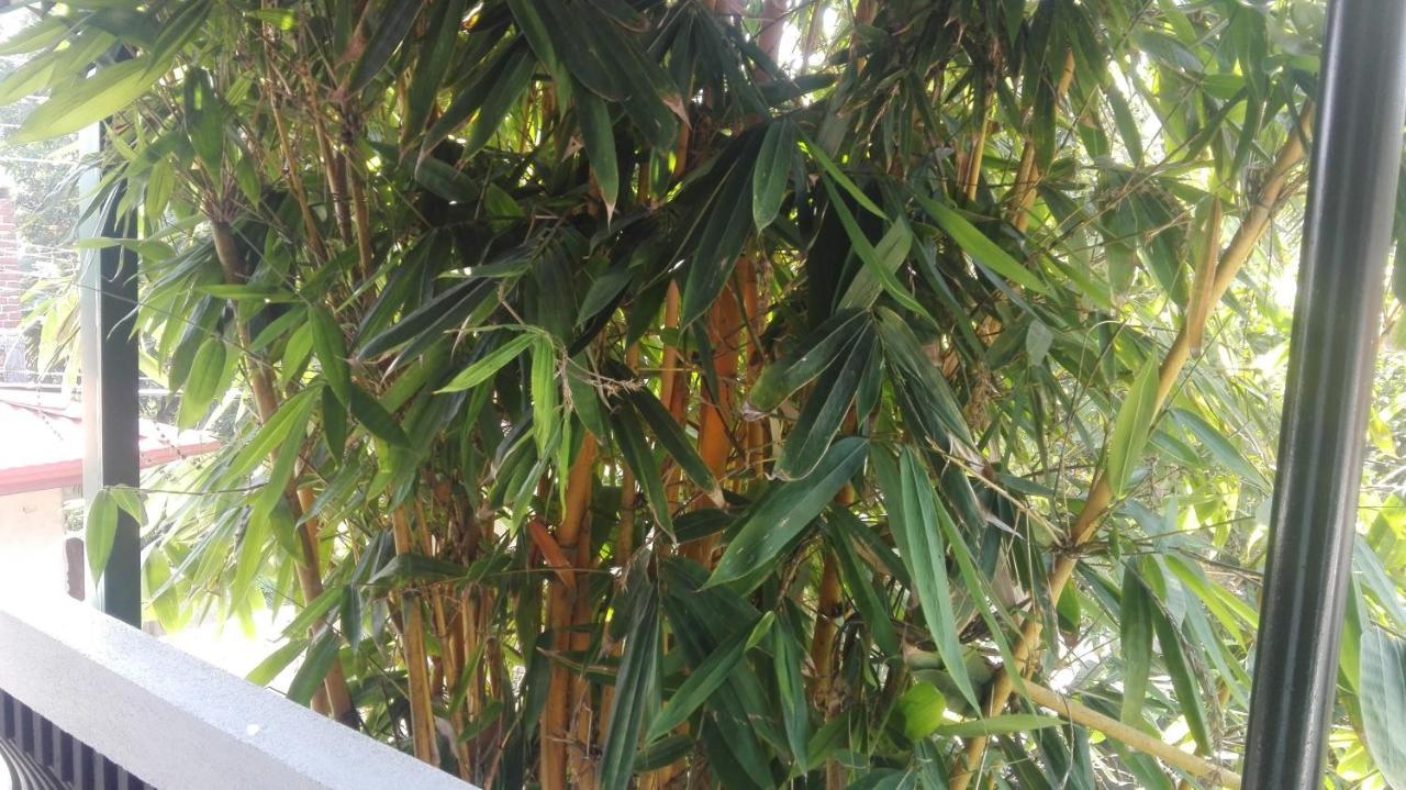 Mango Roots Apartment Gampaha Exterior photo